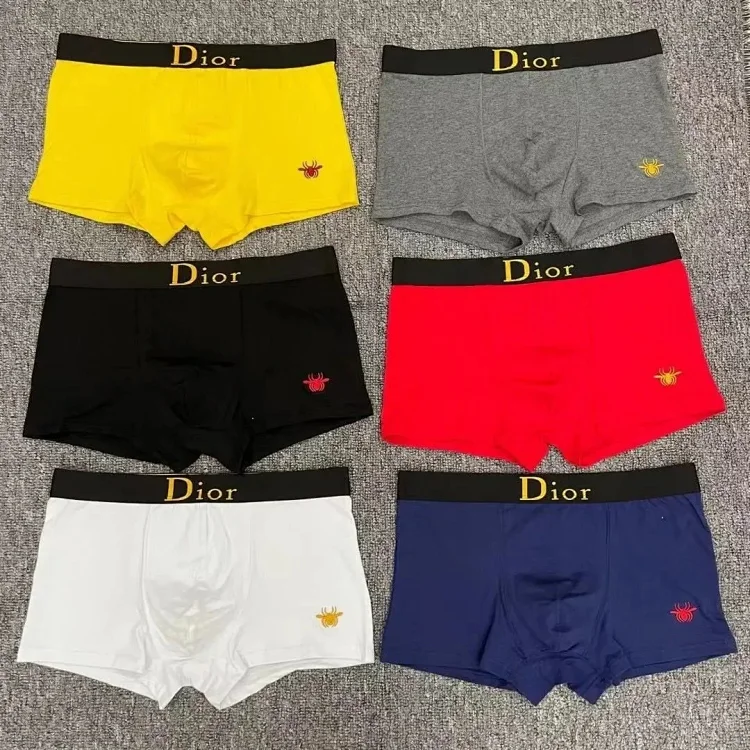 Dior Underwear 7401550596